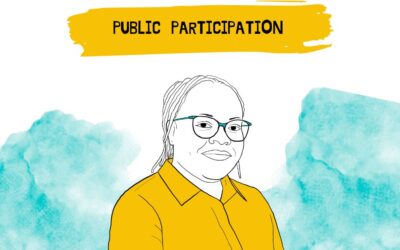 Public Participation is a Right, Not a Favour