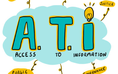 Access to Information: The Right that Holds All Others Together
